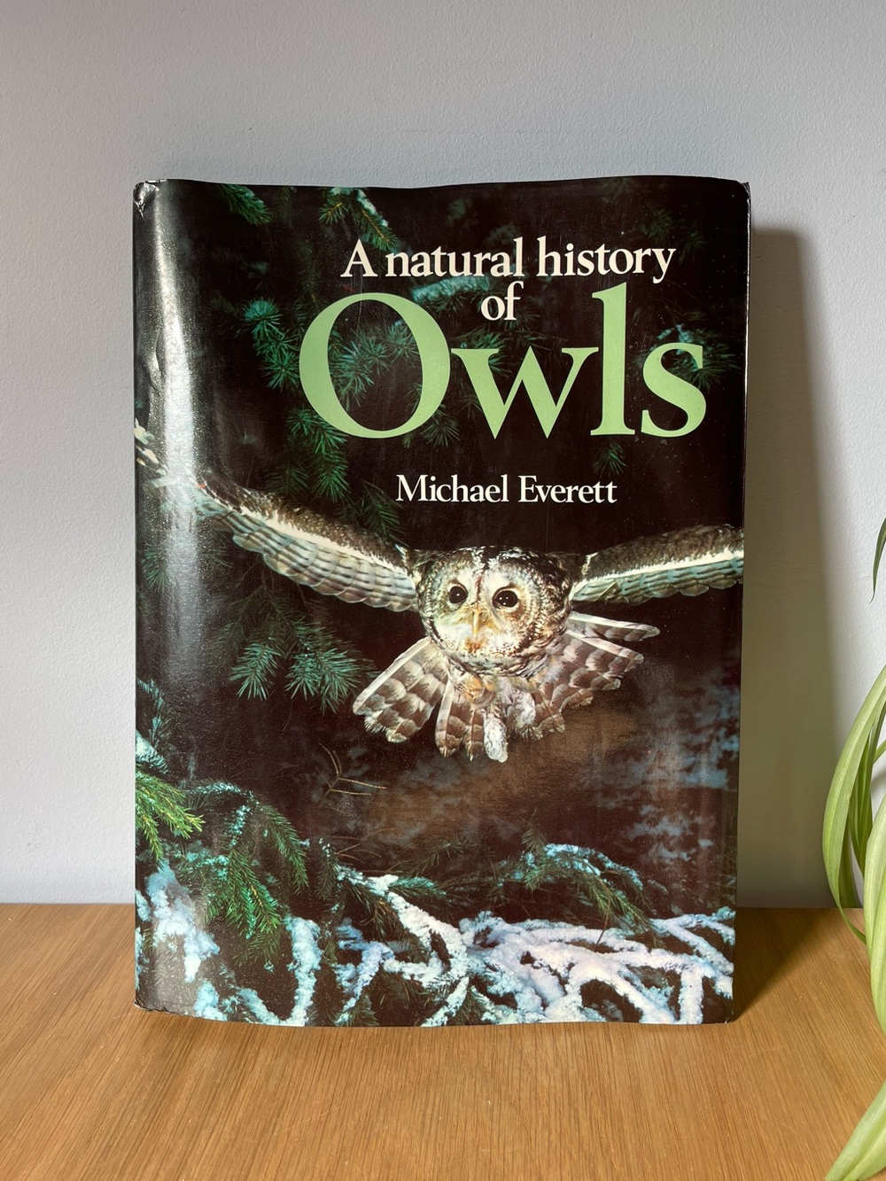 Vintage 1977 A Natural History of Owls Hardcover Book Michael Everett First Ed